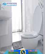 Hướng dẫn cách đi vệ sinh vào bồn cầu đúng chuẩn