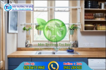 9 loại cây trồng trong nhà bếp giúp khử mùi hiệu quả