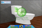 Kích thước bồn cầu phổ biến nhất hiện nay