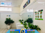 Top 16 loại cây khử mùi hôi nhà vệ sinh hiệu quả 100%