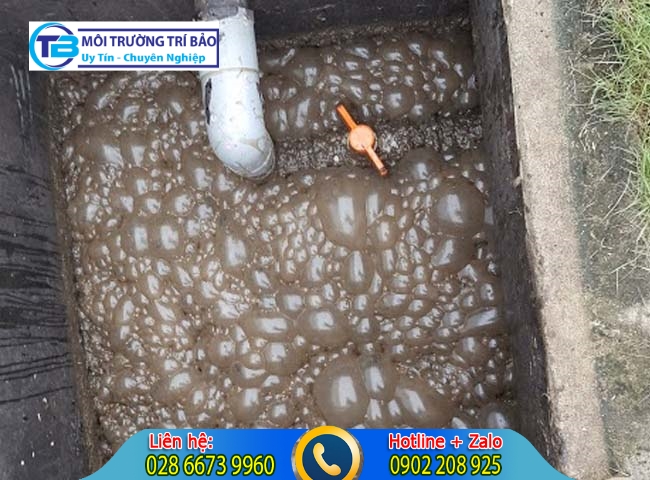 Những sự cố nào thường gặp trong nuôi cấy bùn vi sinh