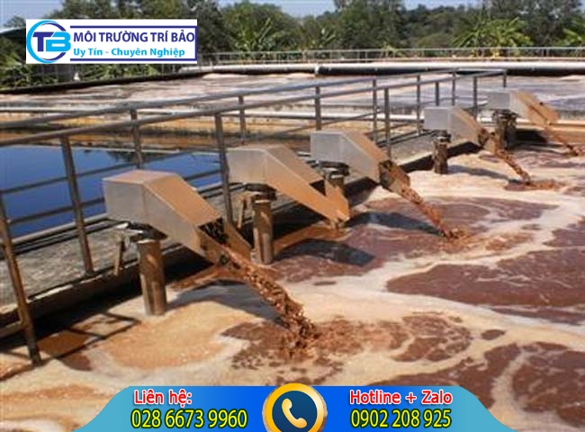 Nên mua bùn vi sinh hoạt tính của công ty nào thì chất lượng