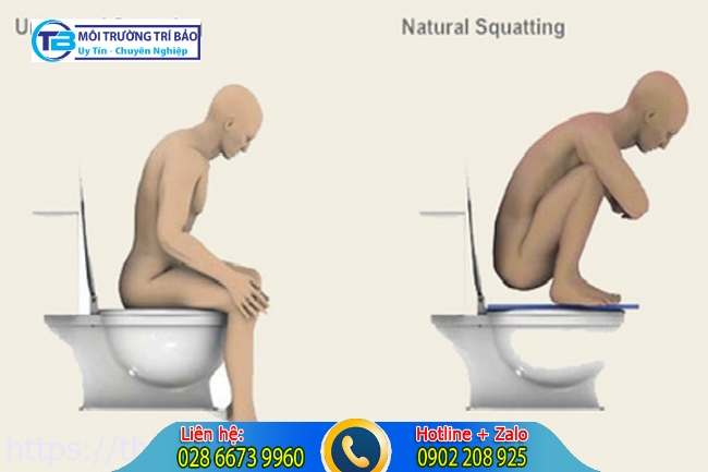 Cách ngồi đúng hạn chế thông bồn cầu nghẹt