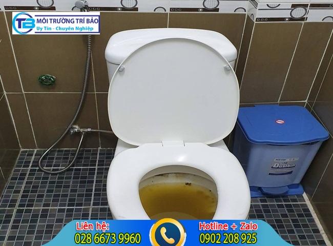 Thong bon cau quan 4