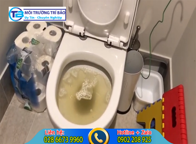 C&aacute;c hậu quả khi b&agrave;n chải đ&aacute;nh răng rơi v&agrave;o bồn cầu
