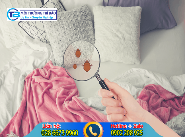 Cách khử mùi hôi trong nệm và vi khuẩn