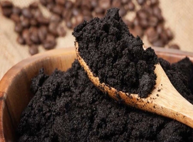 c&aacute;ch khử m&ugrave;i khai nước tiểu m&egrave;o v&agrave; b&atilde; c&agrave; ph&ecirc;