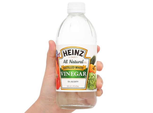 c&aacute;ch khử m&ugrave;i khai nước tiểu m&egrave;o v&agrave; giấm