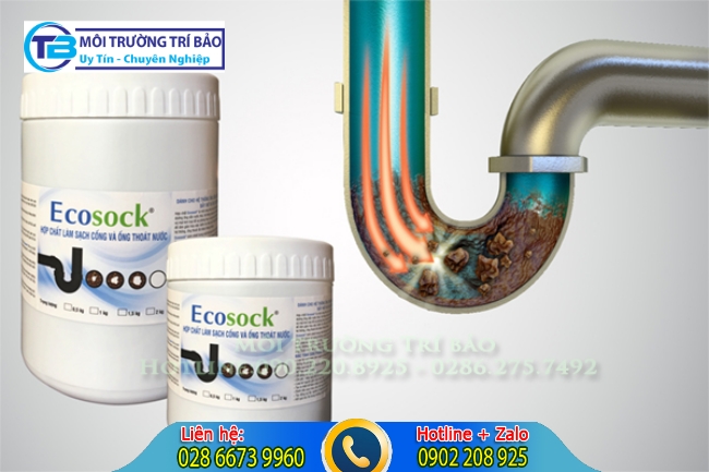 D&ugrave;ng vi sinh ăn chất thải đường cống.