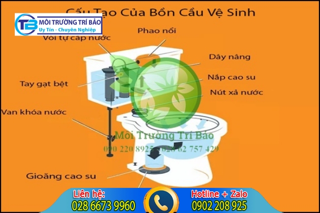 Cấu tạo chung của bồn cầu