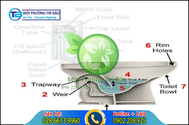cấu tạo của bồn cầu bệt
