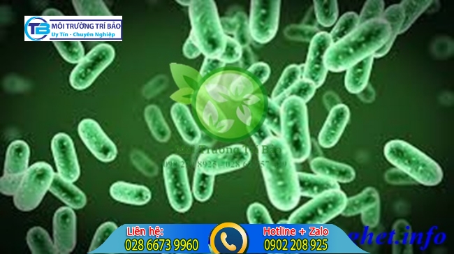 Xử l&yacute; chất thải nguy hại bằng phương ph&aacute;p vi sinh