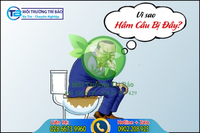 Nguyên nhân hầm cầu bị đầy nước