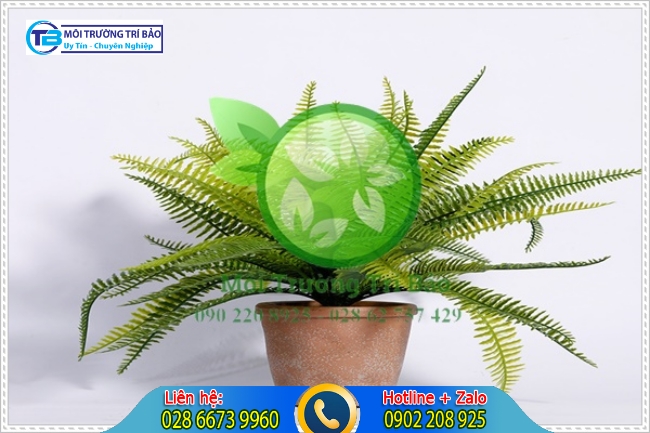 C&acirc;y trồng trong nh&agrave; vệ sinh c&oacute; thể hấp thụ c&aacute;c chất độc ở dạng kh&iacute;, trong đất, nước