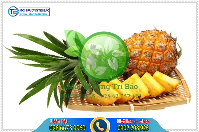 Khử m&ugrave;i h&ocirc;i trong ph&ograve;ng k&iacute;n bằng thơm