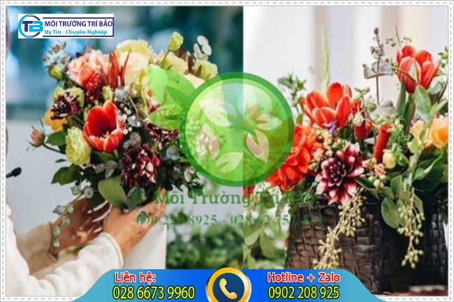Hoa khử m&ugrave;i h&ocirc;i ph&ograve;ng ngủ hiệu quả
