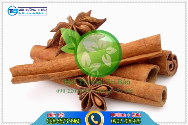 Quế khử m&ugrave;i h&ocirc;i trong ph&ograve;ng ngủ hiệu quả