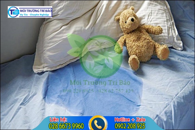 nguy&ecirc;n nh&acirc;n g&acirc;y ra m&ugrave;i khai nước tiểu trong ph&ograve;ng ngủ