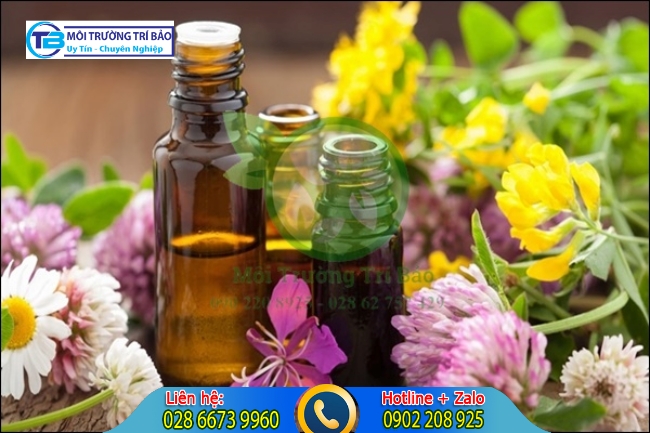 C&aacute;ch khử m&ugrave;i khai nước tiểu trong ph&ograve;ng ngủ bằng tinh dầu