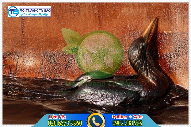 Động vật chịu ảnh hưởng của &ocirc; nhiễm m&ocirc;i trường biển