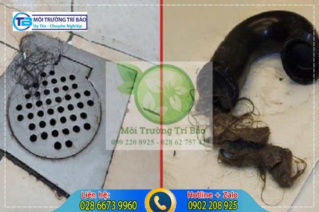 T&oacute;c rụng một trong những nguy&ecirc;n nh&acirc;n g&acirc;y nghẹt cống.